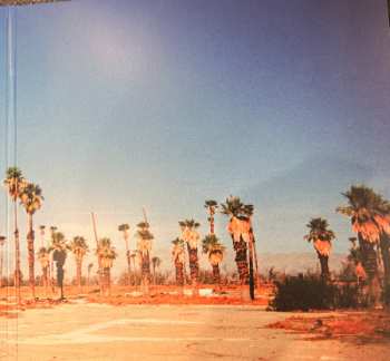 2LP Unknown Mortal Orchestra: V LTD | CLR