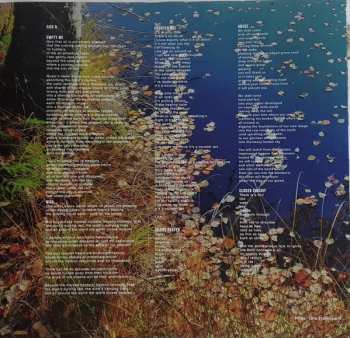 LP Anne Clark: Unstill Life