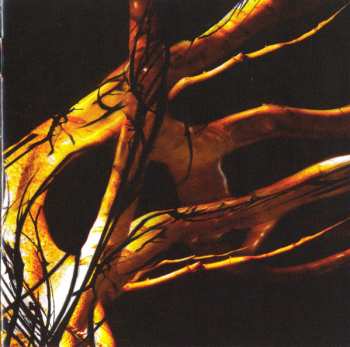 CD Unter Null: Moving On