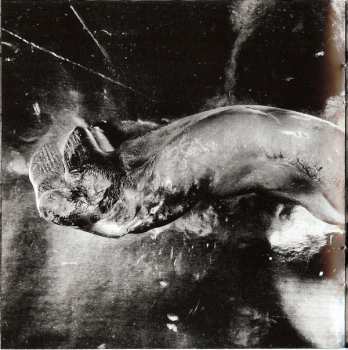 CD Peter Gabriel: Up