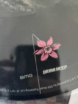 LP Uriah Heep: Salisbury LTD | PIC