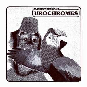 SP Urochromes: 7-beat Sessions