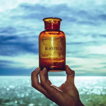 Blackfield: V