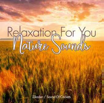 CD Various: Nature Sounds: Zikaden - Sound Of Crickets