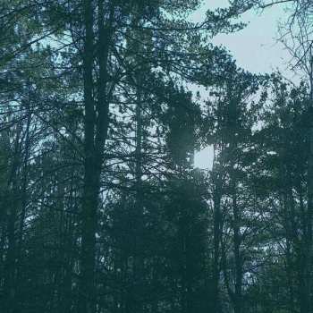 Album Ashbringer: Vacant