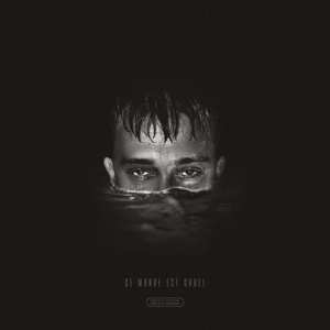 Album Vald: Ce Monde Est Cruel