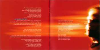 2CD Van Der Graaf Generator: Present