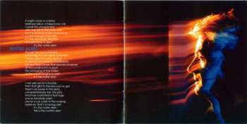 2CD Van Der Graaf Generator: Present