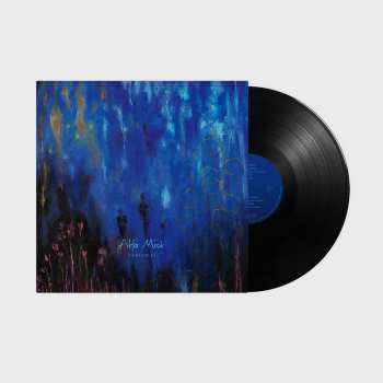 LP Alfa Mist: Variables