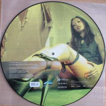 5LP/Doos Various: 12" Collector's Picture Disc Box LTD | PIC