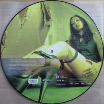 5LP/Doos Various: 12" Collector's Picture Vinyl Box House LTD | NUM | PIC