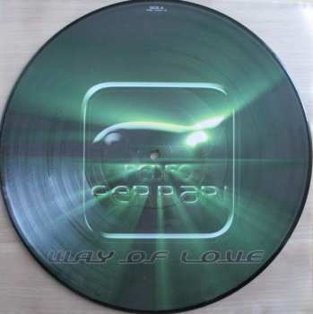 5LP/Doos Various: 12" Collector's Picture Vinyl Box House LTD | NUM | PIC