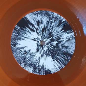 2LP Various: 20 Years Of Fabric CLR