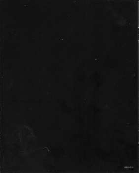 Blu-ray Various: A MusiCares Tribute To Bruce Springsteen