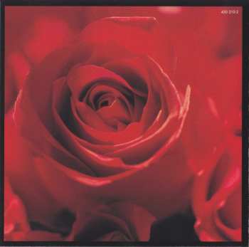 CD Various: American Beauty (Music From The Original Motion Picture Soundtrack)