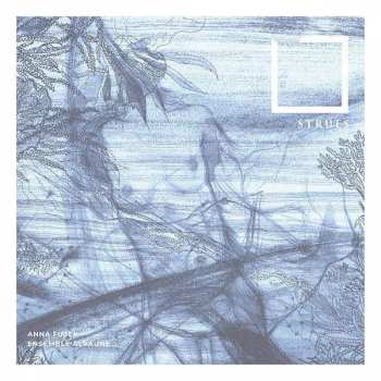 Album Various: Anna Fusek & Ensemble Alraune - Strues