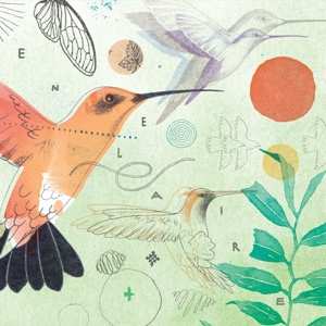 CD Various: Polen 10 Anos - En El..