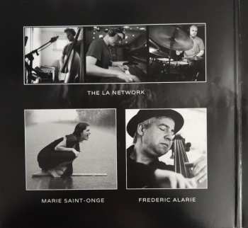 2LP Various: Audiophile Analog Collection Vol. 1 DLX
