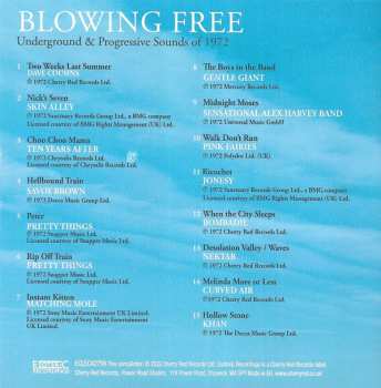 4CD/Doos Various: Blowing Free: Underground & Progressive Sounds Of 1972