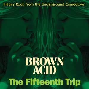 LP Various: Brown Acid: The Fifteenth Trip (Heavy Rock From The American Comedown Era)