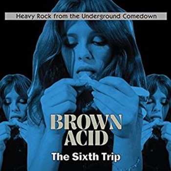 CD Various: Brown Acid: The Sixth Trip (Heavy Rock From The Underground Comedown)