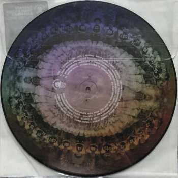 LP Various: Carpark Sweet Sixteen Basketball Picture Disc PIC