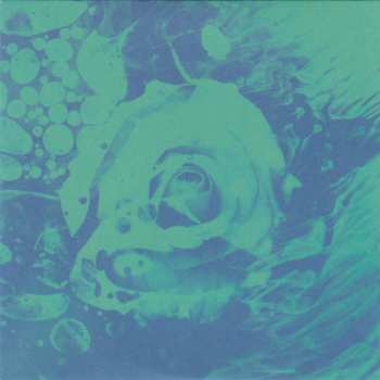 5CD Various: Day of the Dead