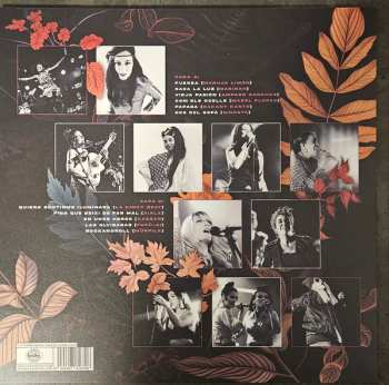 LP Various: Dones En La Kasba