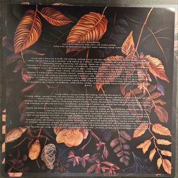 LP Various: Dones En La Kasba