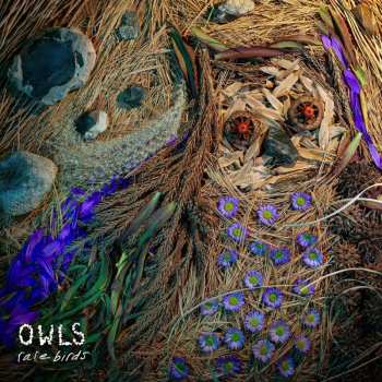 Album Owls: For The Birds: The Birdsong Project