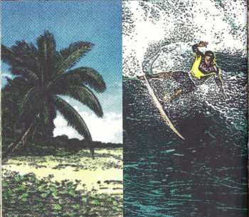 CD Various: Hawai'i Under The Rainbow
