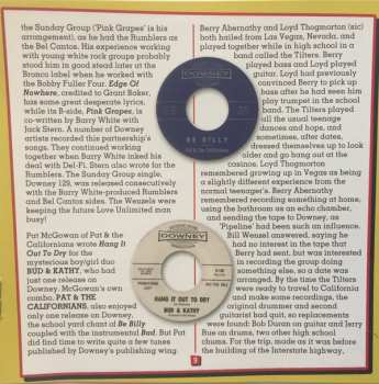 CD Various: It Came From The Garage! (Nuggets From Southern California)
