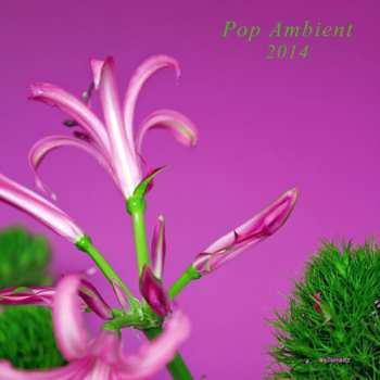 LP/CD Various: Pop Ambient 2014