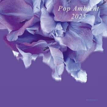 Album Various: Pop Ambient 2025