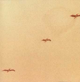 CD Various: Take Me Home | A Tribute To John Denver