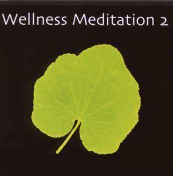 Album Various: Wellness Meditation 2