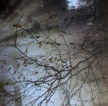 CD Various: Wild (Original Motion Picture Soundtrack)