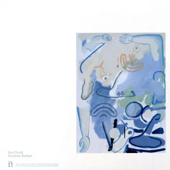 Devendra Banhart: Vast Ovoid