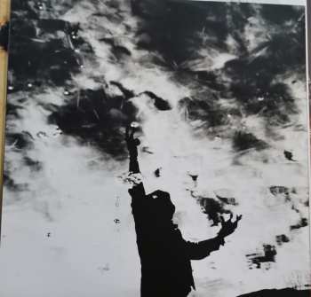 2LP Verdena: Endkadenz Vol. 1