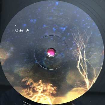 2LP The Notwist: Vertigo Days