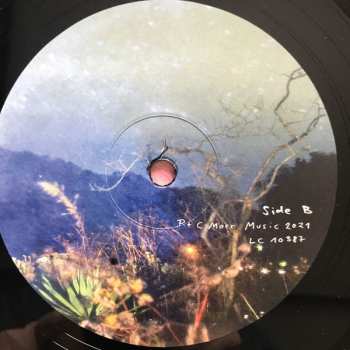 2LP The Notwist: Vertigo Days