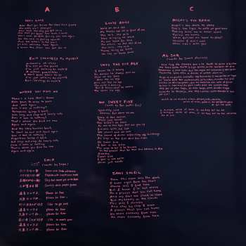 2LP The Notwist: Vertigo Days