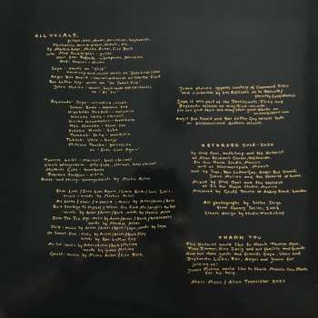 2LP The Notwist: Vertigo Days