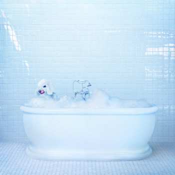 Album Frankie Cosmos: Vessel