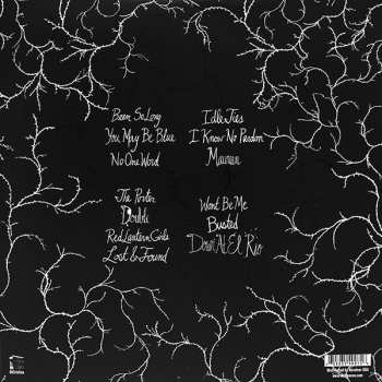 2LP Vetiver: To Find Me Gone