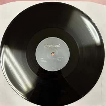 LP Victoria Canal: WELL WELL / Elegy