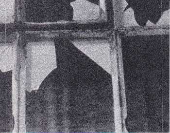 CD Vidna Obmana: Anthology 1984-2004