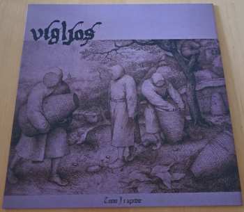 Album Vigljos: Tome I: Apidæ