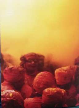 DVD Vijay Iyer: Radhe Radhe (Rites Of Holi)