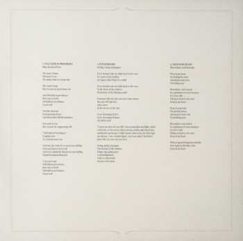 LP Villagers: Fever Dreams LTD | CLR